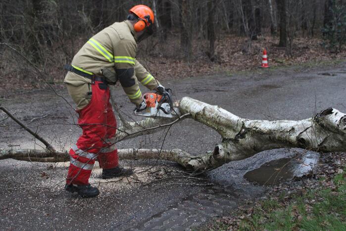 Boom omgewaaid door storm