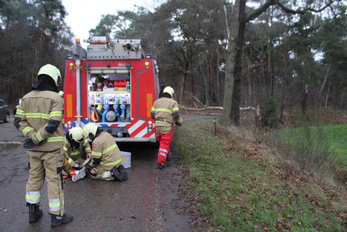 Boom omgewaaid door storm