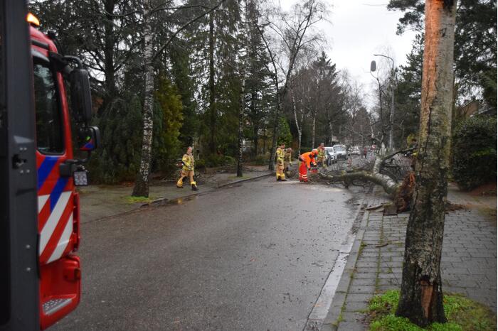 Omgewaaide boom blokkeert weg en sloopt lantaarnpaal