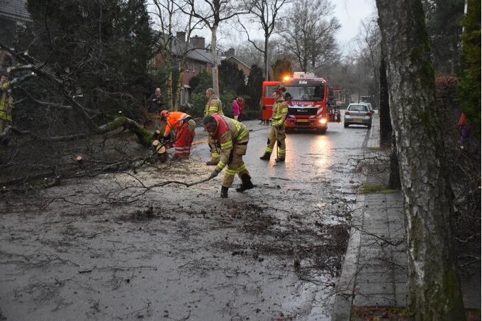 Omgewaaide boom blokkeert weg en sloopt lantaarnpaal