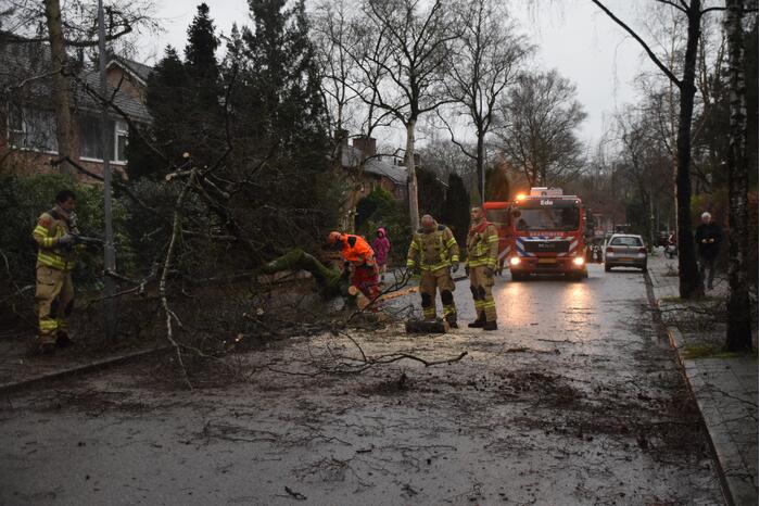 Omgewaaide boom blokkeert weg en sloopt lantaarnpaal