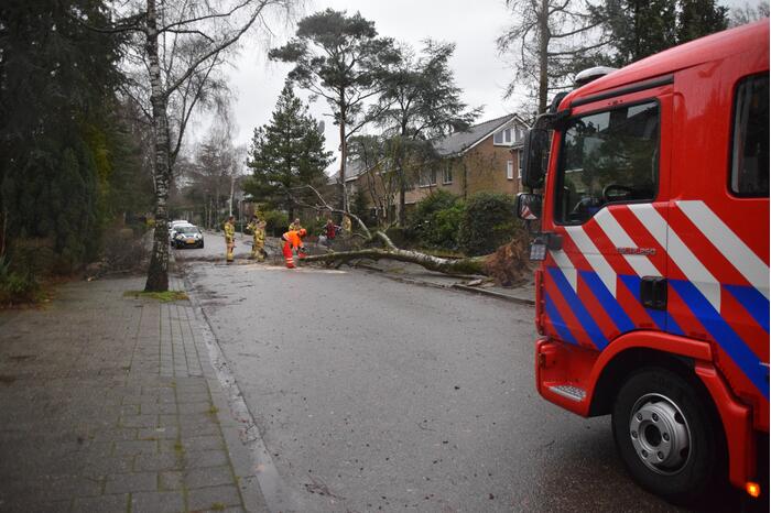 Omgewaaide boom blokkeert weg en sloopt lantaarnpaal