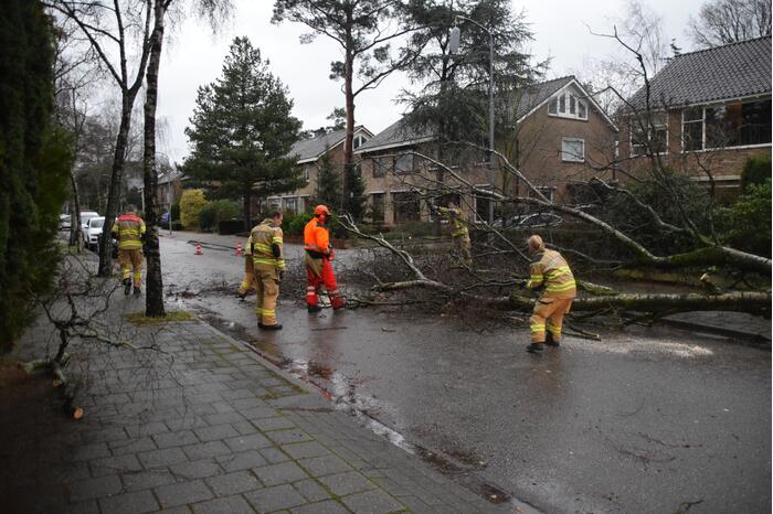 Omgewaaide boom blokkeert weg en sloopt lantaarnpaal