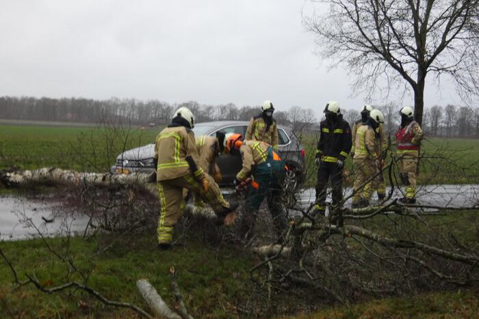 Boom waait om voor rijdende auto