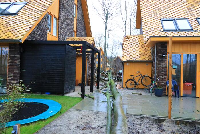 Boom waait om en beschadigt woningen, fietsen en auto