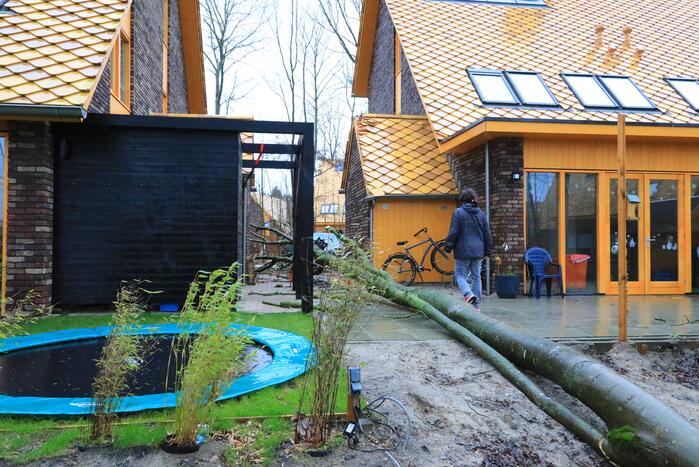 Boom waait om en beschadigt woningen, fietsen en auto