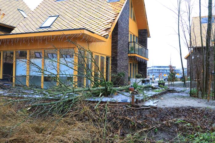 Boom waait om en beschadigt woningen, fietsen en auto