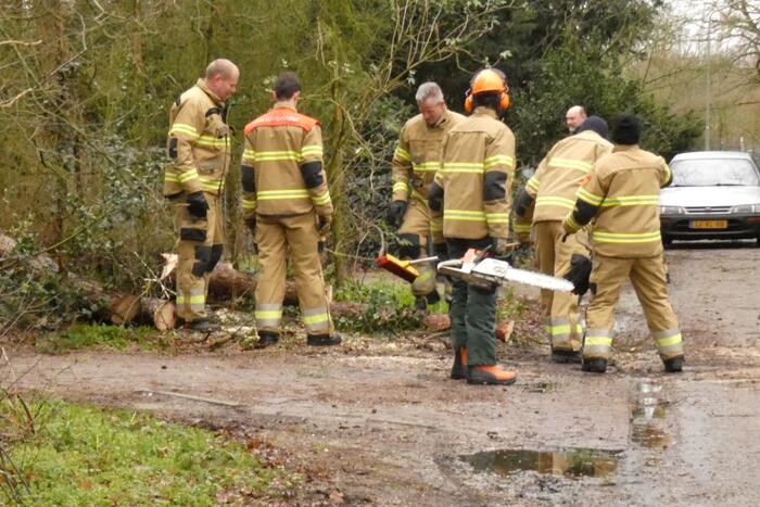 Brandweer zaagt omgewaaide boom in stukken