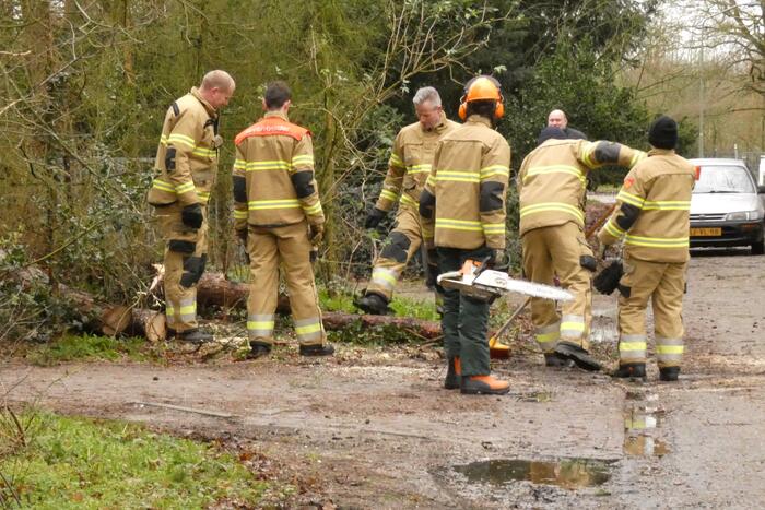 Brandweer zaagt omgewaaide boom in stukken