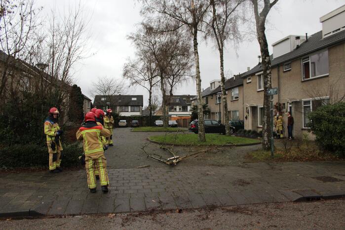 Brandweer zaagt loshangende tak uit boom