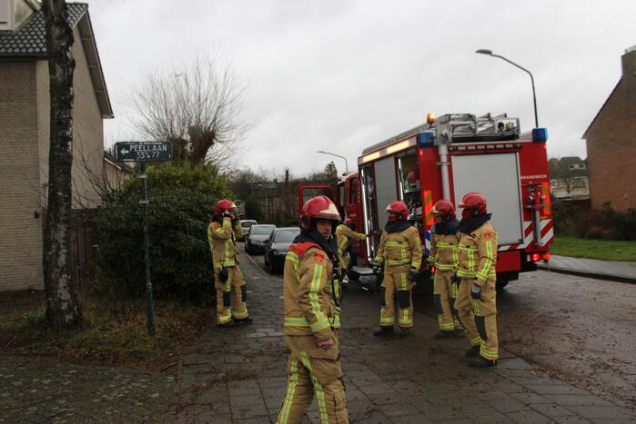 Brandweer zaagt loshangende tak uit boom