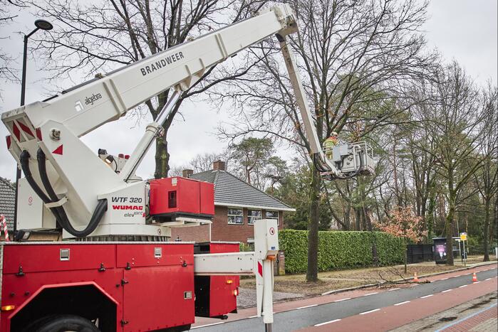 Brandweer verwijdert gevaarlijk hangende tak