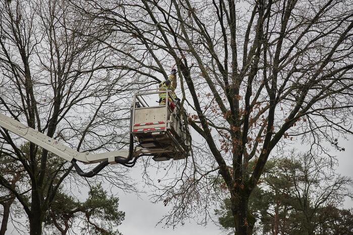 Brandweer verwijdert gevaarlijk hangende tak