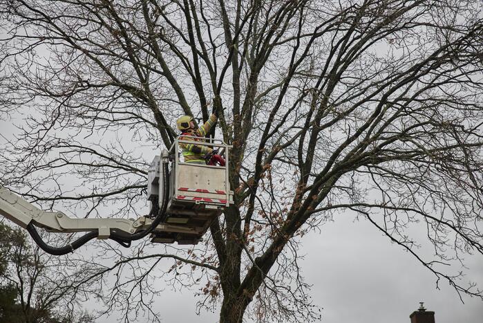 Brandweer verwijdert gevaarlijk hangende tak