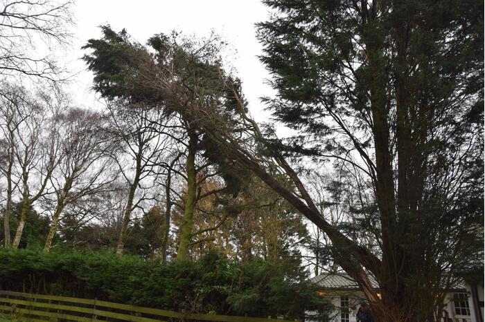 Takken dreigen op de weg te vallen