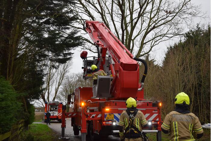 Takken dreigen op de weg te vallen