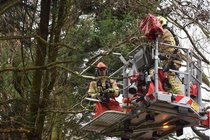 Takken dreigen op de weg te vallen