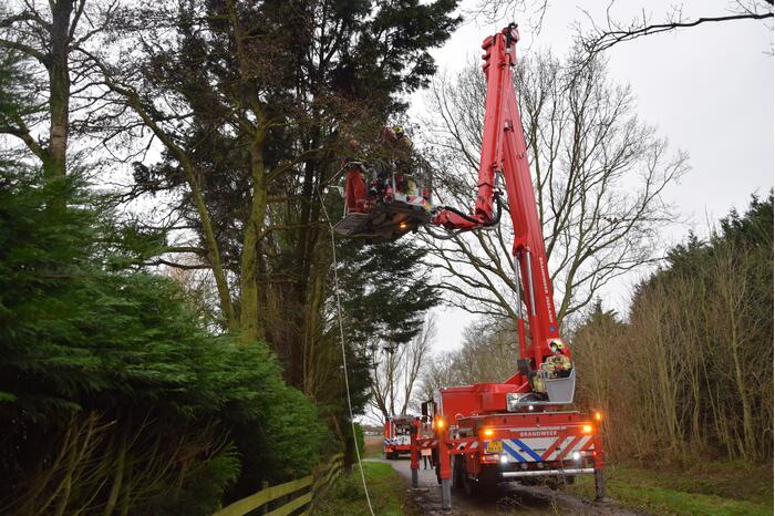 Takken dreigen op de weg te vallen