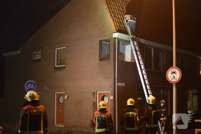 nieuws vrije nesse bodegraven