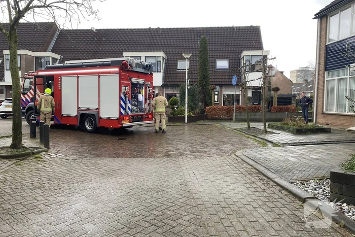 brand koolmees ridderkerk