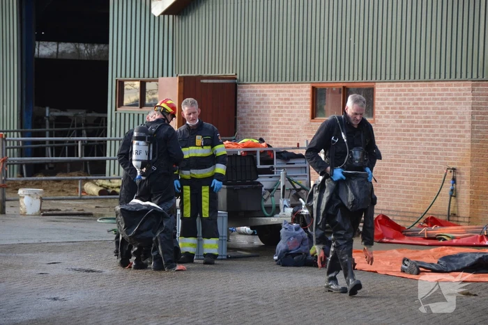 Brandweer uren bezig met redden koeien uit gierkelder
