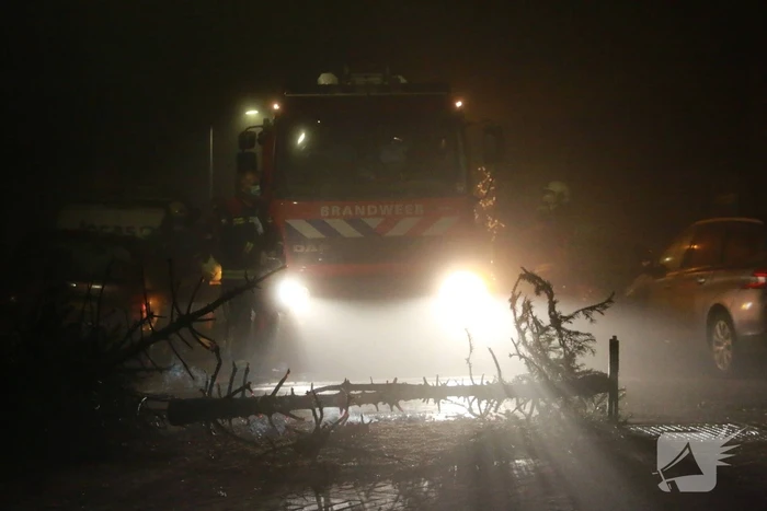 Kerstbomen in brand op kruising