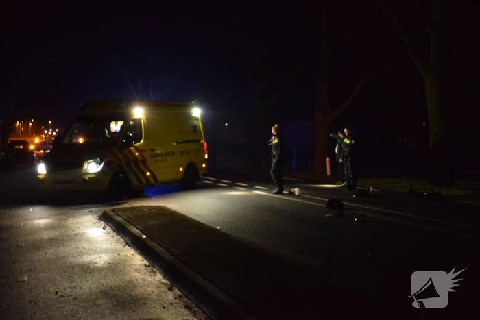 Scooterrijder ernstig gewond bij aanrijding met auto