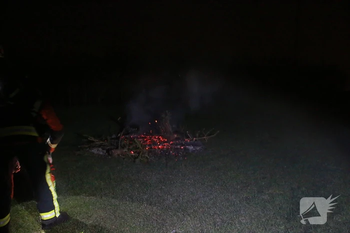 Meerdere kerstbomen in brand gestoken