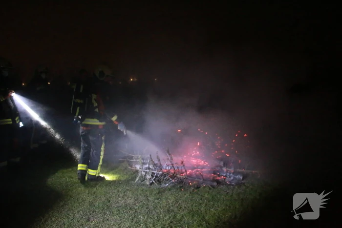 Meerdere kerstbomen in brand gestoken