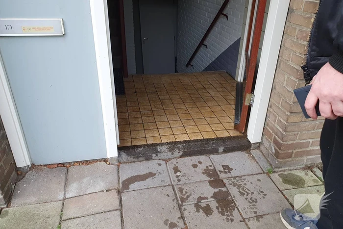 waterlekkage helperzoom groningen