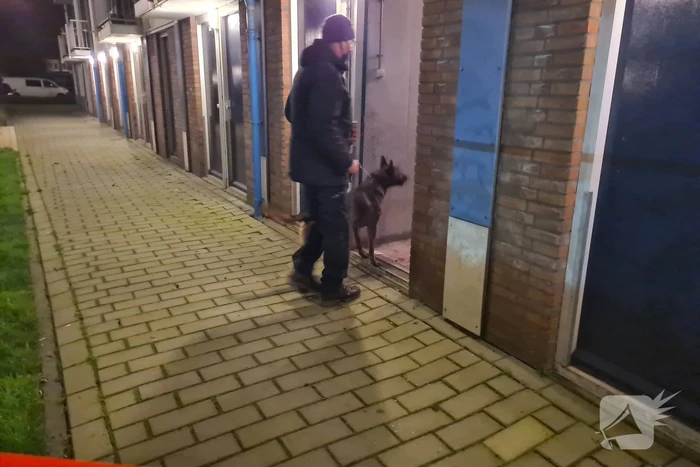 Arrestatieteam valt flatwoning binnen