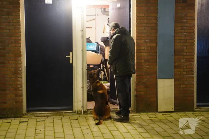 Arrestatieteam valt flatwoning binnen