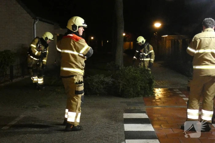Kerstbomen in brand gestoken