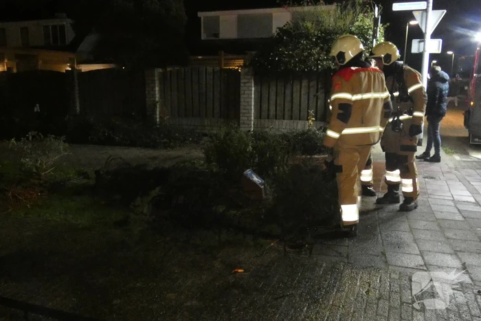 Kerstbomen in brand gestoken