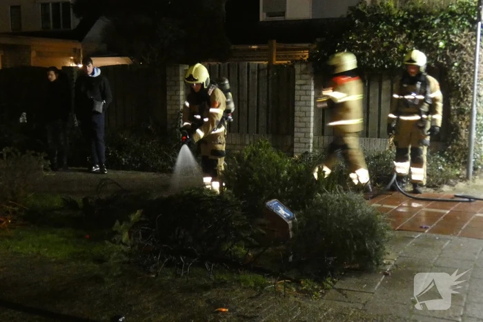 Kerstbomen in brand gestoken