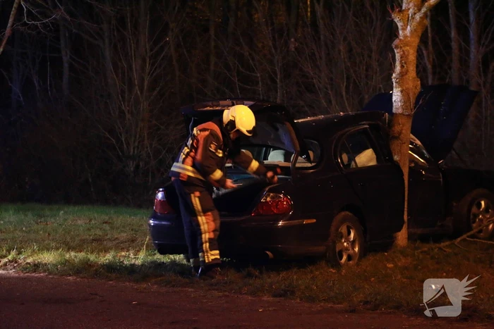 Auto flink beschadigd na aanrijding met boom