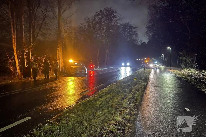 Auto klapt frontaal op boom, bestuurder spoorloos