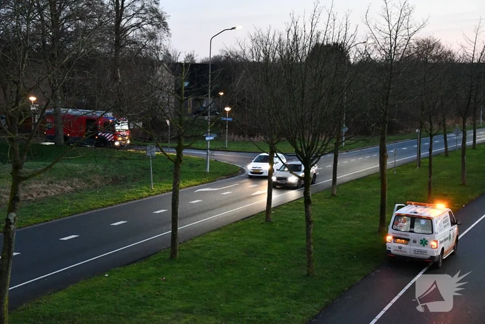 Gewonde zwaan vliegt weg na vangpoging