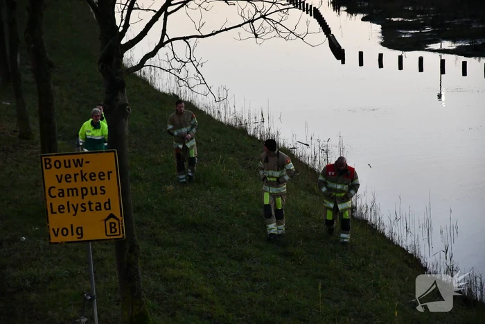 Gewonde zwaan vliegt weg na vangpoging