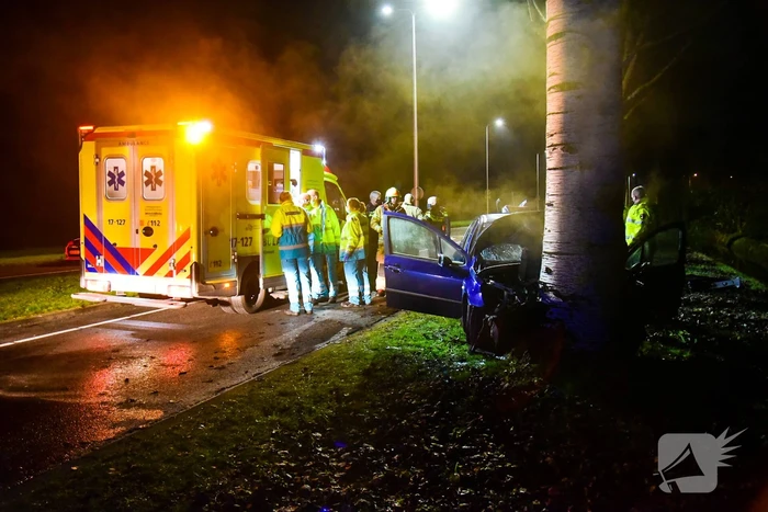 Bestuurder botst met auto frontaal op boom