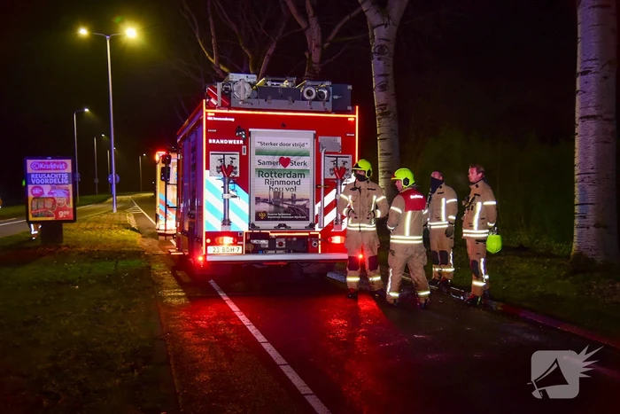 Bestuurder botst met auto frontaal op boom