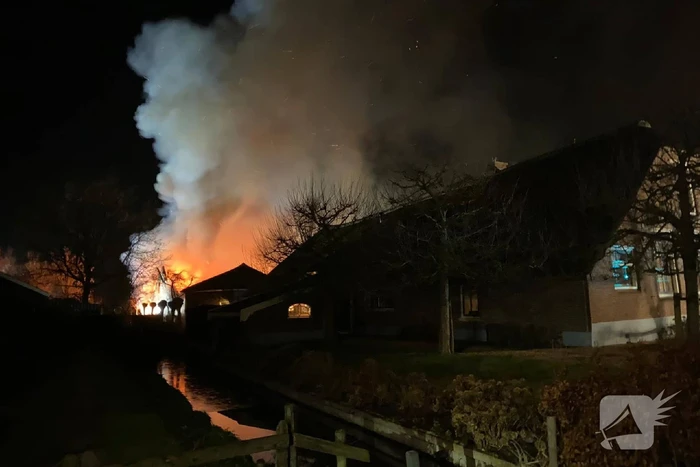 Grote brand verwoest schuur