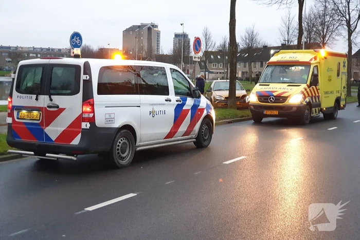 Bestuurder raakt macht over het stuur kwijt en ramt boom