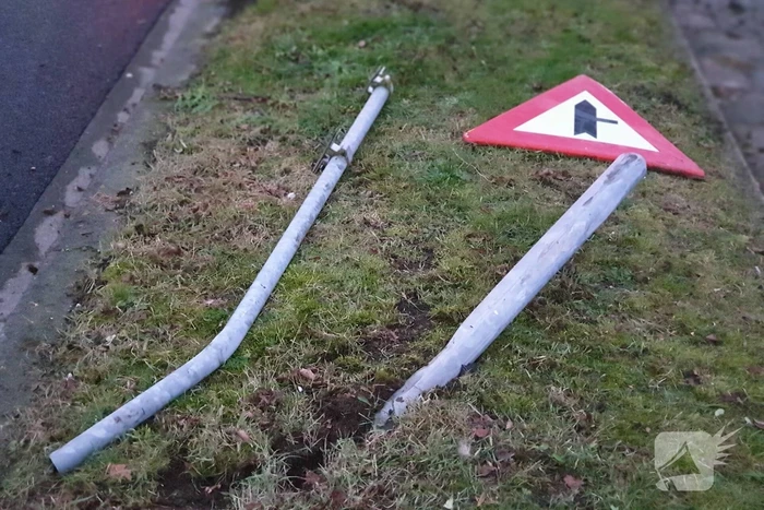 Bestuurder raakt macht over het stuur kwijt en ramt boom