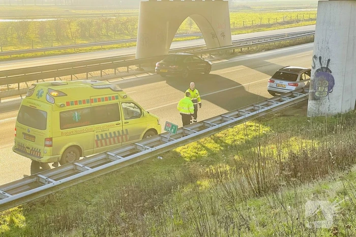 Zwaan overleden bij aanrijding met auto