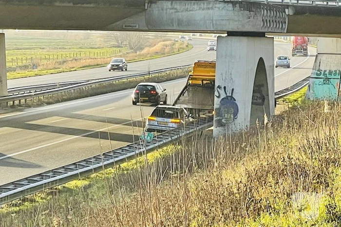 Zwaan overleden bij aanrijding met auto