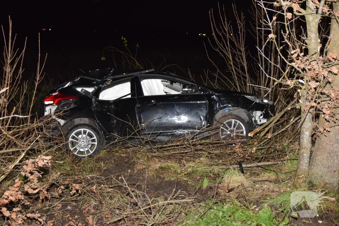 Auto in berm belandt