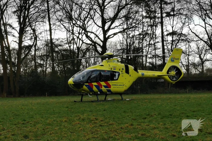 Boom op persoon gevallen in bosgebied