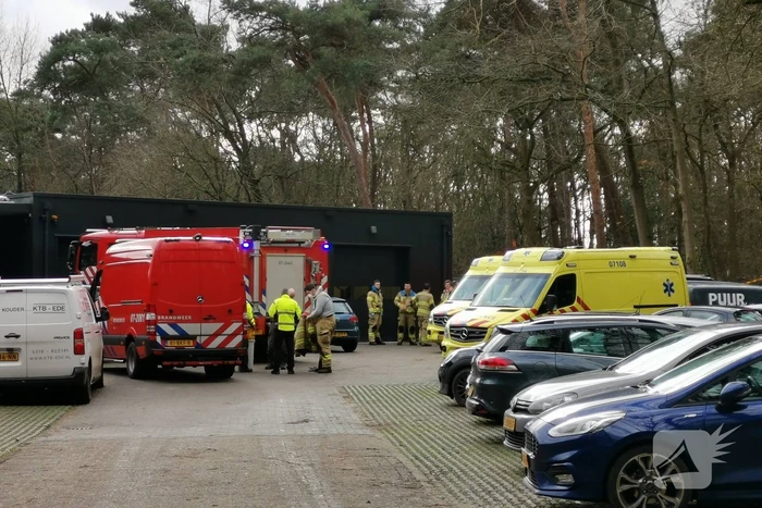 Boom op persoon gevallen in bosgebied