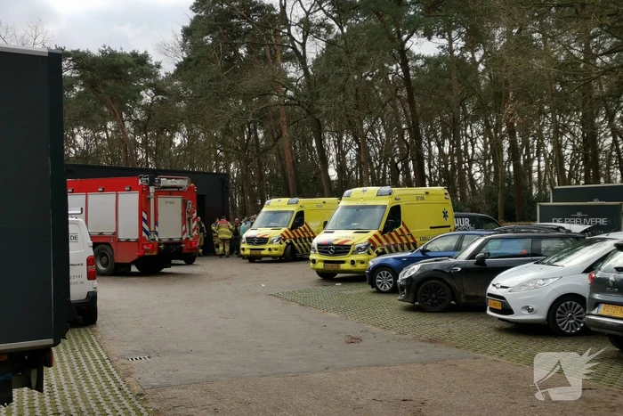 Boom op persoon gevallen in bosgebied